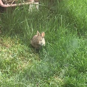 Meet your Posher, Nic